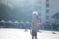 114-11-29樟樹國小校慶園遊會圖片